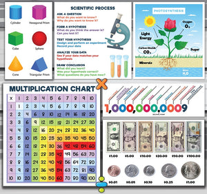 3D Shapes, Scientific Process, Photosynthesis, Multiplication and Decimals - Remote Learning